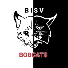 BASIS Independent Silicon Valley logo